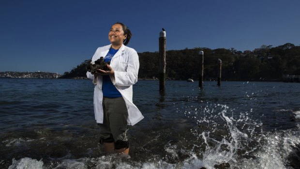 Dr Victoria Cole is doing an outdoor experiment on how climate change will affect mussels and  the species that rely on them.