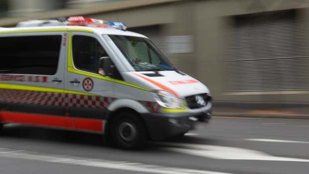 A seven-year-old boy is in hospital after a dog mauled him in Sydney's south-west on Saturday.