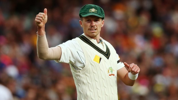 Seal of approval: Peter Siddle was a fan of the day-night Test.