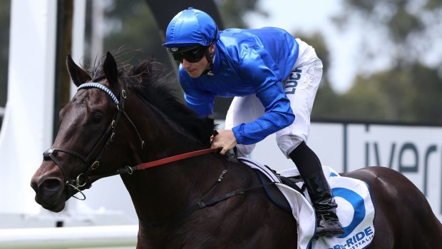 Favourite: James McDonald rides Exosphere to victory at Warwick Farm in February.