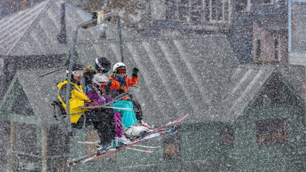 Why go to Hotham, the hardcore mountain, when our children had only skied once before?