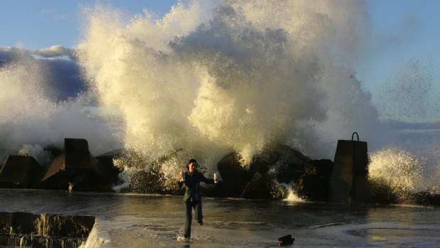 The SES are predicting chaos on Tuesday with winds of 100km/h and seas topping seven metres.