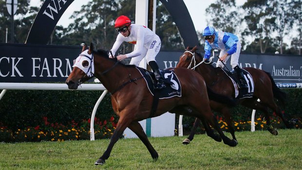 On the up: Arbeitsam wins at Warwick Farm last weekend.