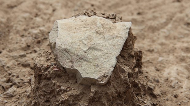 One of the ancient stone tools found in Kenya. 