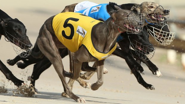 Premier Mike Baird has announced the end of greyhound racing in NSW from July 1, 2017.