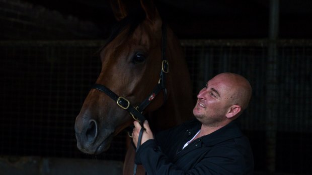 Contender: Happy Clapper will contest the group 2 Villiers Stakes at Randwick on Saturday.
