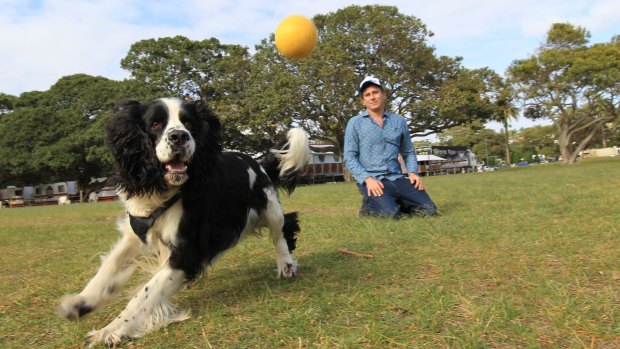 A Sydneysider can break the law by taking a dog to a dog-friendly park at the wrong time of day. 
