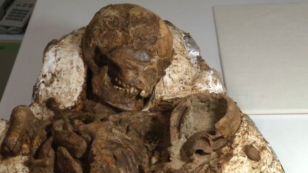 The 4800-year-old fossil of a mother and baby found in Taiwan.