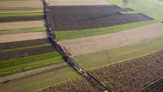 A column of migrants moves through fields after crossing from Croatia, in Rigonce, Slovenia in 2015.