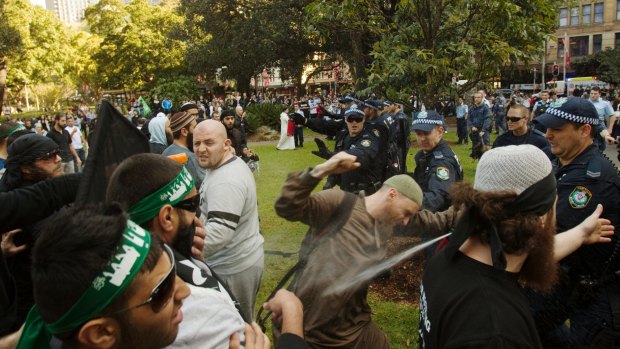 The protest in Hyde Park in 2012 during which Ahmad Elomar bashed a police officer with a flag pole.