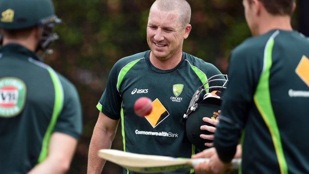 Brad Haddin’s consistency is hard to fault as he approaches another Test in Sydney.