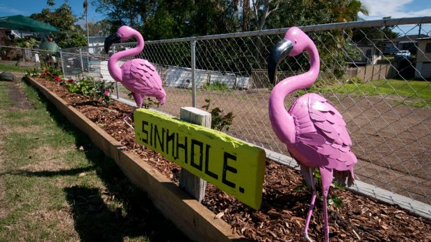Lynn and Ray McKay's pink flamingos.