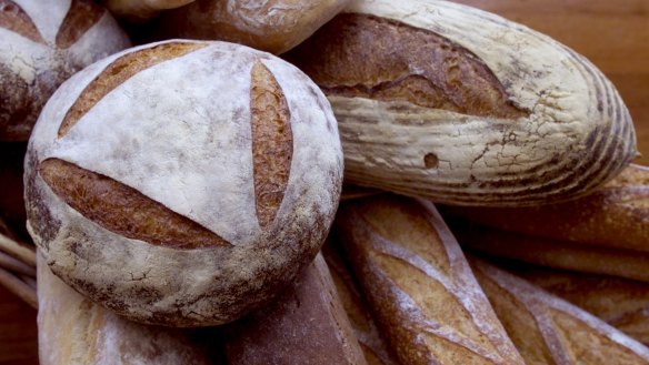 Sourdough bread is made up of wild yeasts and lactic acid bacteria.