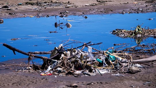 Fundamental problem: Debris sits near the shoreline of the polluted waters of Guanabara Bay back in 2014. The issue has still not been properly addressed. 