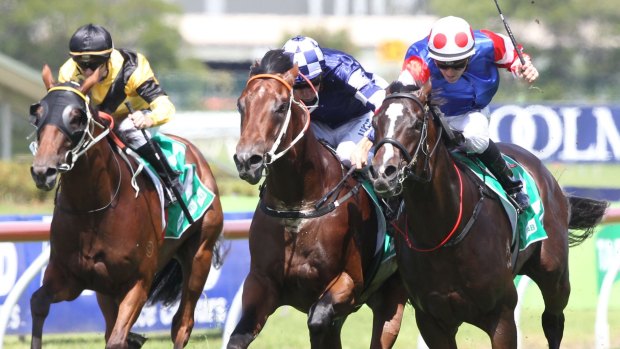 Slipper-bound: Tye Angland rides Single Bullet to win the Pago Pago Stakes.