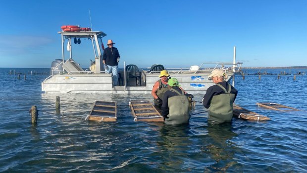 Pacific Estate Oysters run a "Deckie for a Day" program.