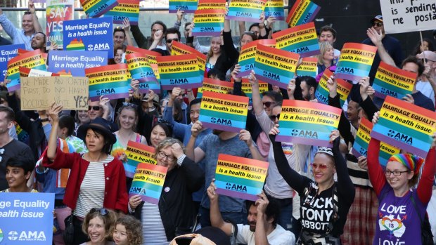 Hundreds of doctors and medical students rally in Sydney to support marriage equality earlier this month. 
