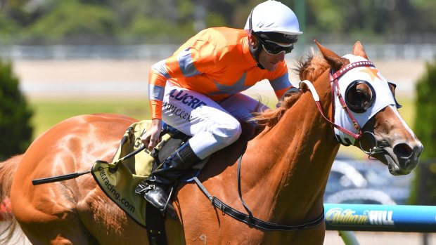 Brad Rawiller riding Burning Front wins at Moonee Valley in January.