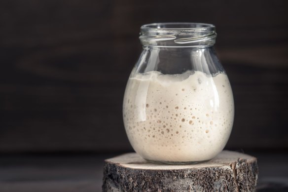 Starter for sourdough bread.