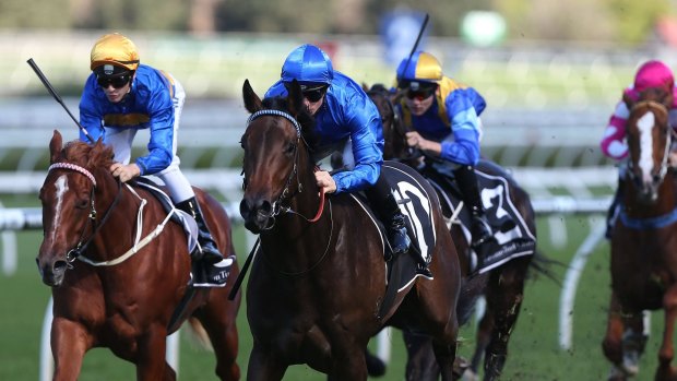 Promising: Painted Firetail scored for Godolphin at Randwick on Saturday.