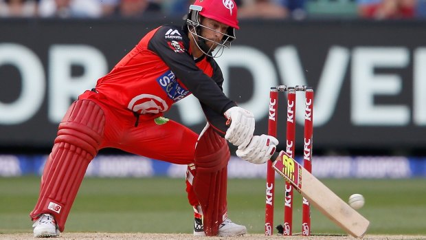 Batting on: Melbourne Renegades star Matthew Wade is eyeing the 2019 World Cup.