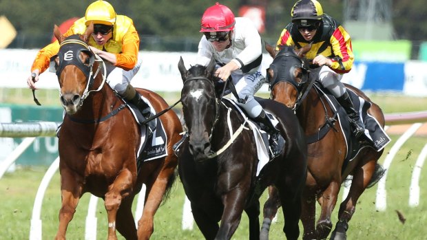 Winning form: Sam Clipperton and Peeping score in the opener at Rosehill on August 15.  The pair team up again on Saturday.