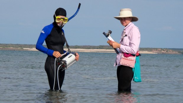 Verena Schoepf (left) and Anne-Marin Nisumaa-Comeau assess the status of bleached Kimberley corals exposed at low tide.