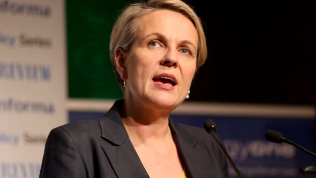 Labor's Tanya Plibersek says it was the right decision for the Gillard government to promise that no school would be worse off under the Gonski funding reforms. 