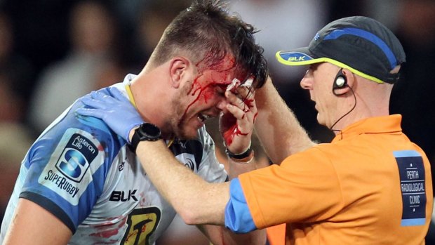 Nasty cut: Ross Haylett-Petty of the Western Force is treated for a head wound.