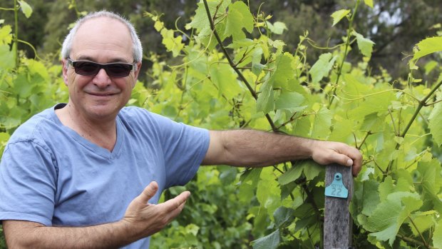 Cloudburst's Will Berliner is taking a strict bio-dynamic approach to his wines in Margaret River.
