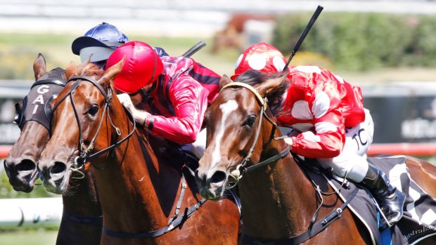 The winners keep coming: Tim Clark rides Perignon (right) to victory in the Light Fingers Stakes at Randwick.