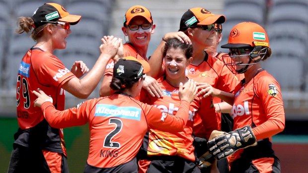 Key weapon: Nicole Bolton is swamped by jubilant Scorchers teammates after the dismissal of the SydneyThunder's Rachael Haynes.