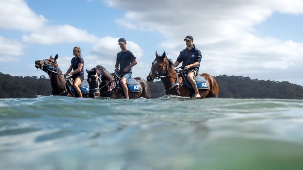 Hydrotherapy: M J Dale Racing's Colbey Hill, Jamie Stewart and Matt Dale on Fell Swoop freshen up their horses.