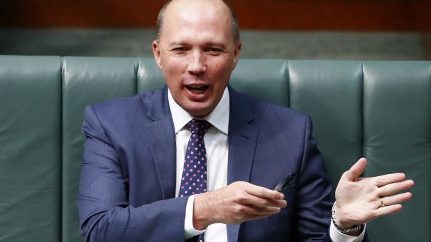 Minister for Immigration and Border Protection Peter Dutton has been accused of conducting "an attack on free speech" by cancelling the visa of Palestinian political activist Bassem Tamimi.