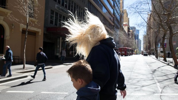 Windy city: gusts exceeded 100 km/h in several locations.