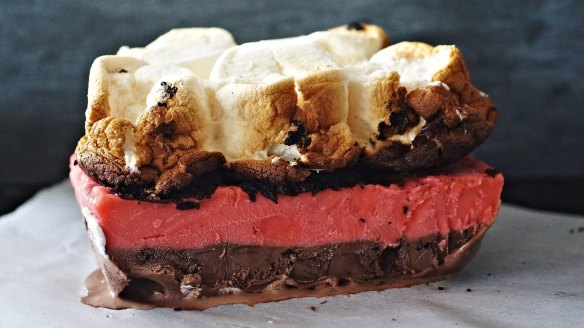 Neapolitan ice-cream cake topped with cookie crumb and toasted marshmallows.