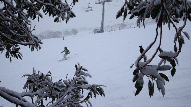 Skiers and boarders at Perisher on Friday.