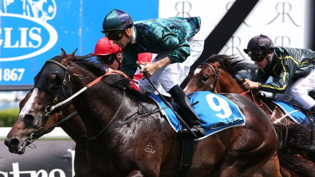 Guineas hope: Odyssey Moon will be hoping for group 1 success at Caulfield.