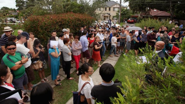 A massive crowd at an auction in North Ryde in February.