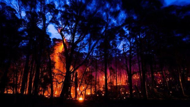 Fire fighters are battling to contain a Queensland blaze.