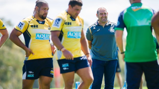 Michael Cheika is still looking for a replacement for departed Wallabies scrum guru Mario Ledesma. 