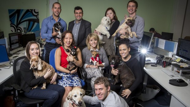 Ray Milidoni, general manager (rear second left) and Nick Bell, managing director (rear left) and their staff with their dogs at WME Group.