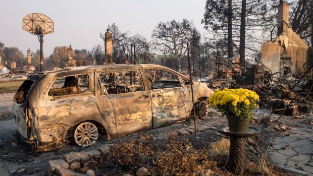 Fresh flowers stand in front of residences burned by wildfires in Santa Rosa, California.