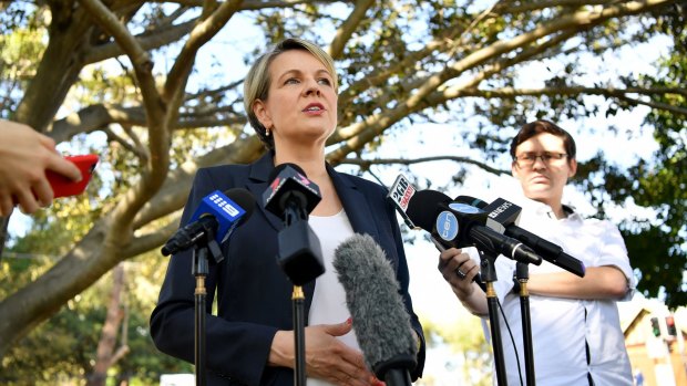 Deputy Opposition Leader Tanya Plibersek speaks to the media in Sydney.