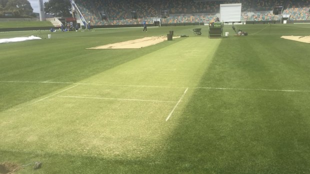 Green dreams: the Hobart pitch on Monday.