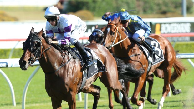 Jason Collett rides Spright to win race The Ainsworth Brian Crowley Stakes at Royal Randwick.