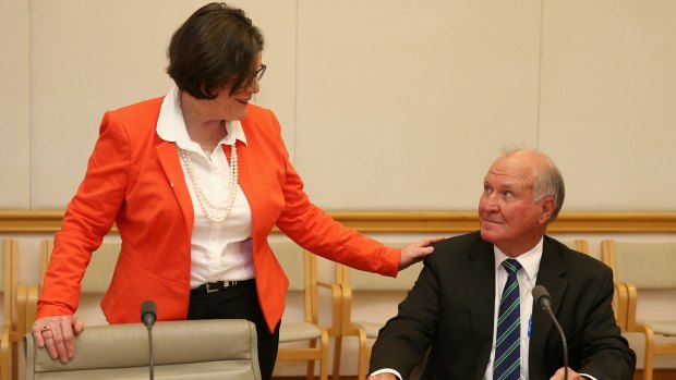 Independent MP Cathy McGowan and former MP Tony Windsor during the launch of the report.