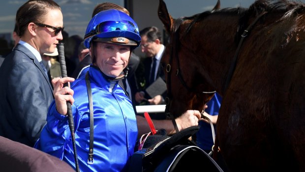 Top class: Glyn Schofield enjoys the moment unsaddling Alizee after her Tea Rose Stakes win.