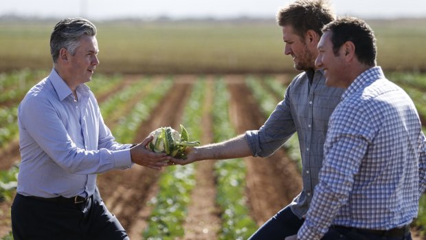 Coles MD John Durkan, chef Curtis Stone and John Said, CEO of Fresh Select, at the launch of the $50 million Coles Nurture Fund, which will provide interest-free loans and grants to food producers.