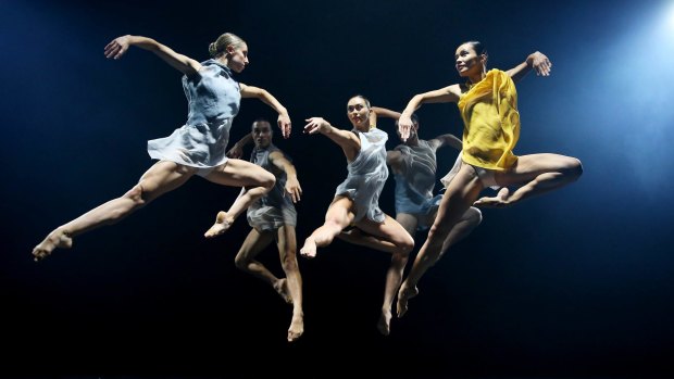Members of Sydney Dance Company in full flight in Cinco.